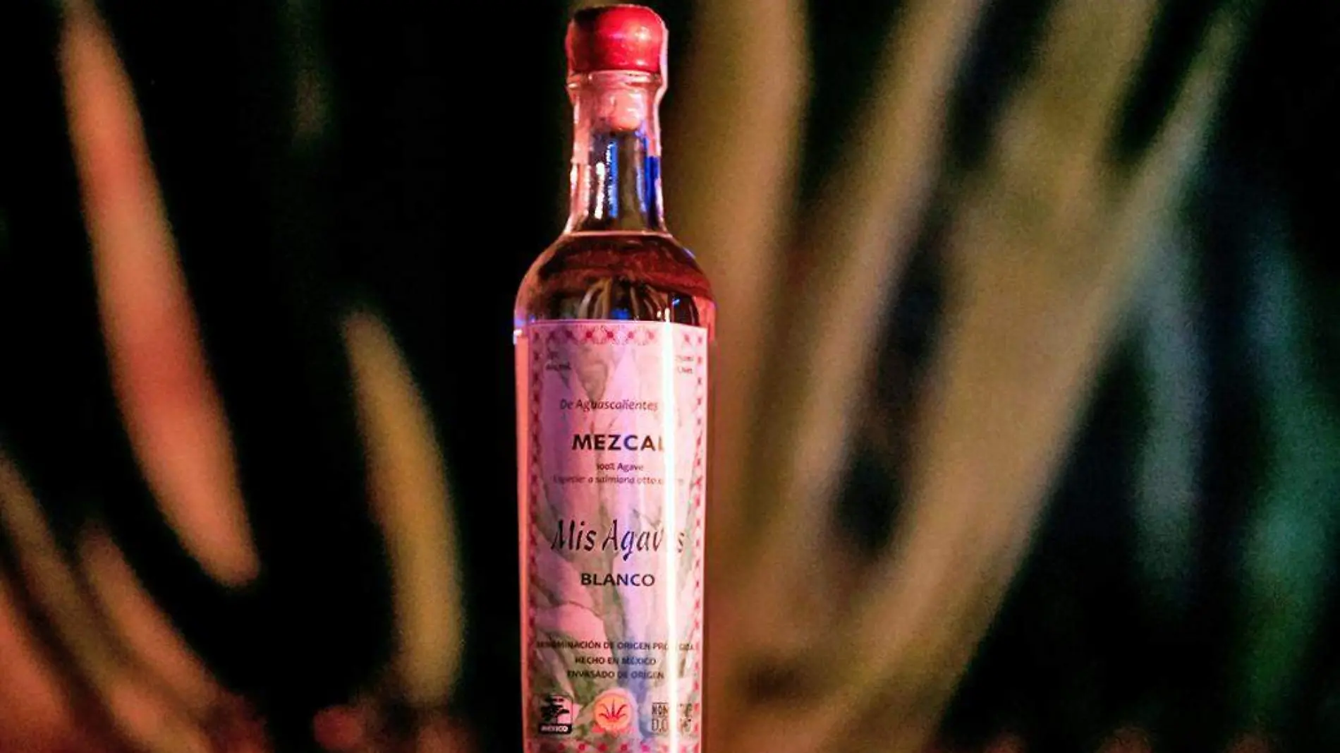 mezcal de aguascalientes